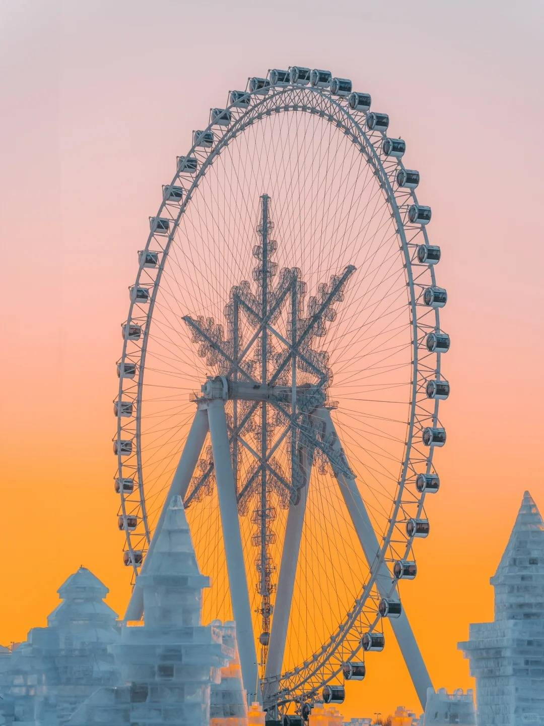 17586937000045B3P6NR