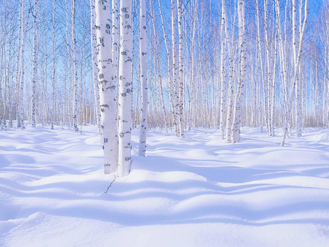 1760431625535_30fmBKYM