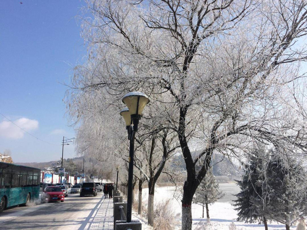 1762338249334_50j7afsy