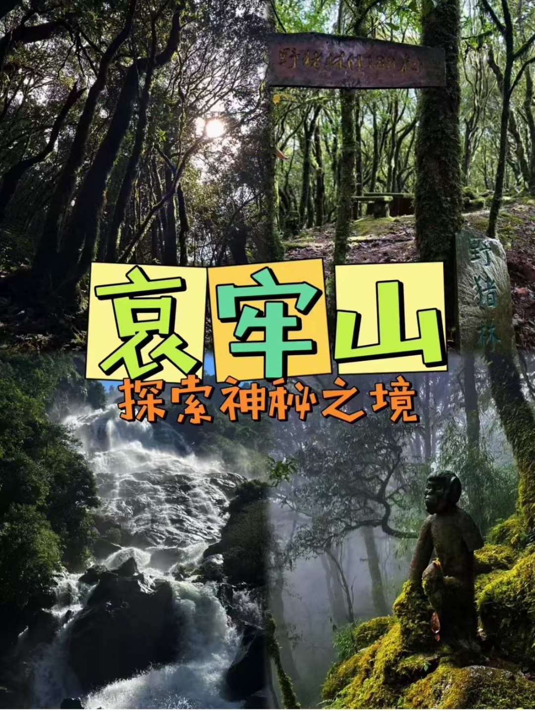 1763537583920_52QF3HR2