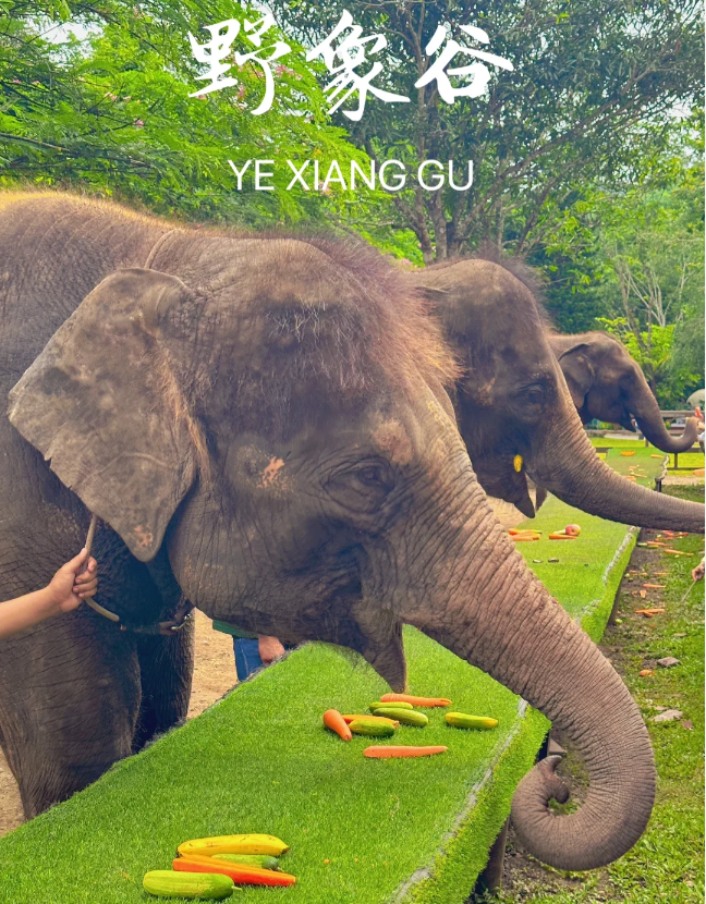 1763537583921_50Pkc2ap