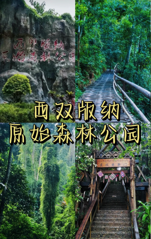 1763537583922_44zpYFRX