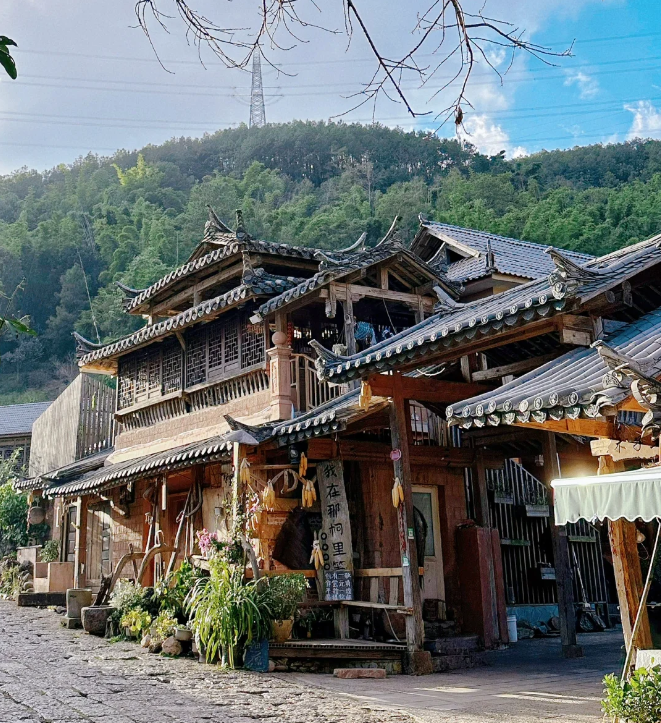 1763537583924_38naGywT