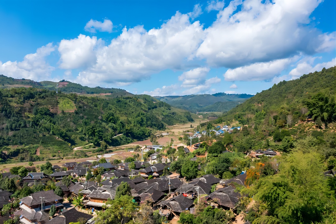 1763537583925_31djjzXk