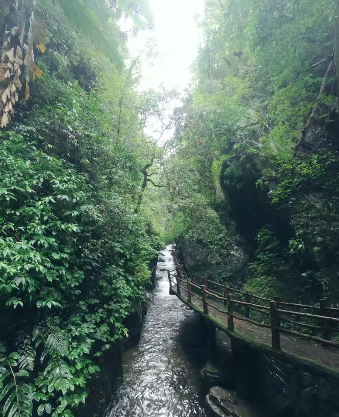 1763537583925_3275E48B