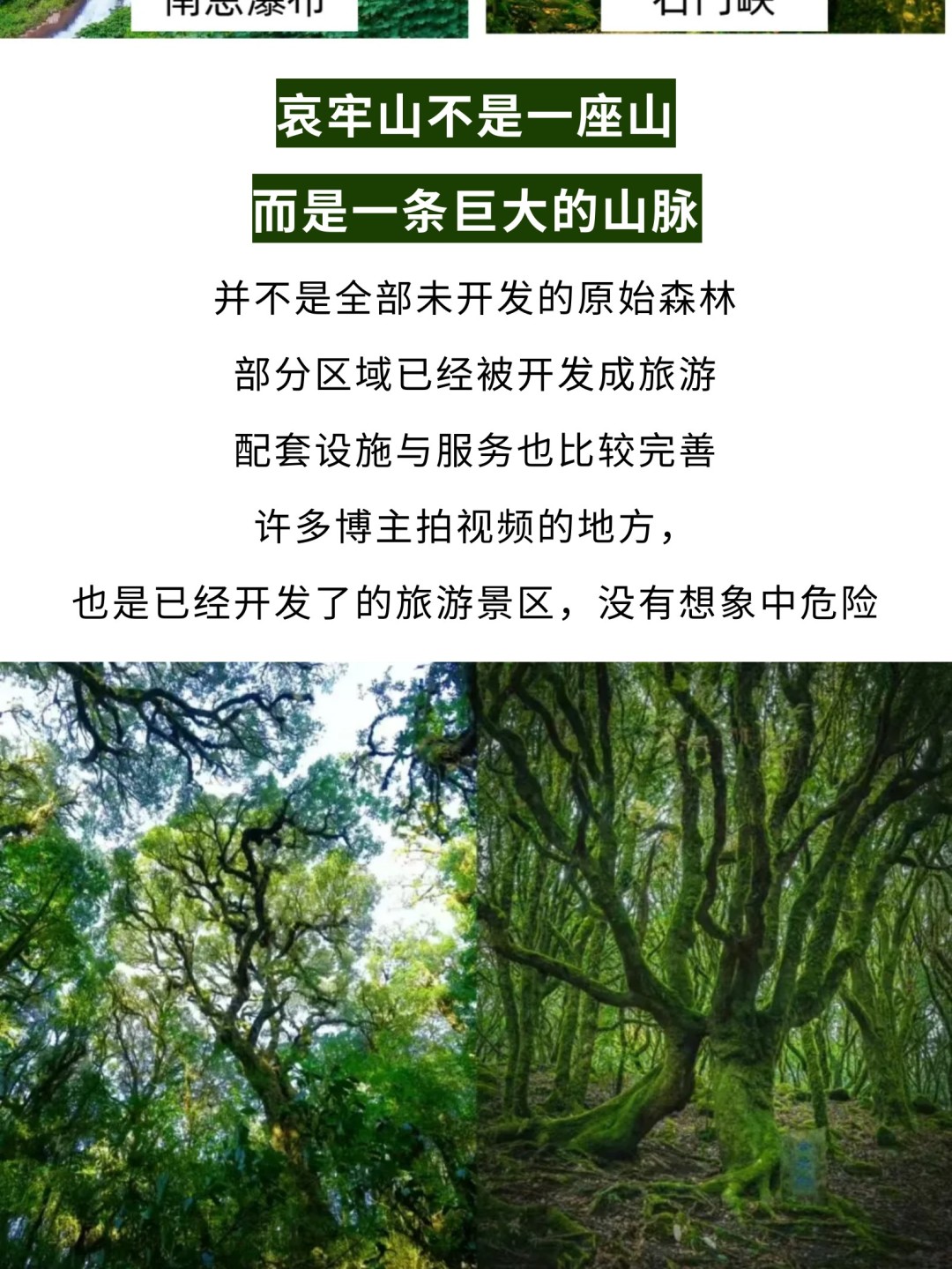 1763537583926_25nRH56z