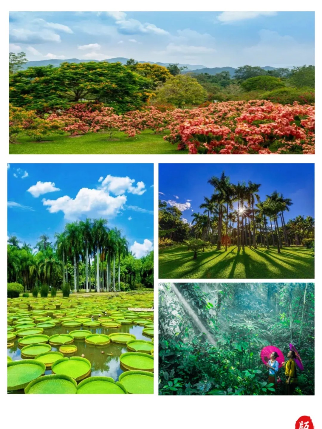 1763537583930_20xWyBBk