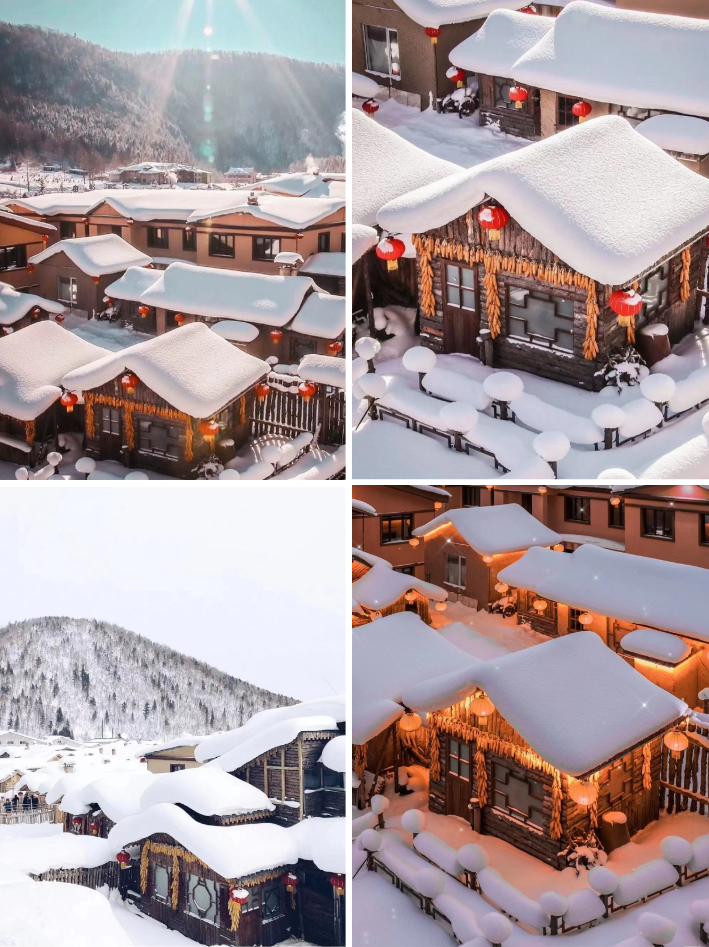 1763610217379_42hz6N7M