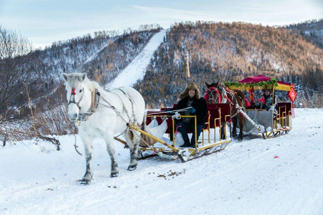 1763610217381_36YiTNJM