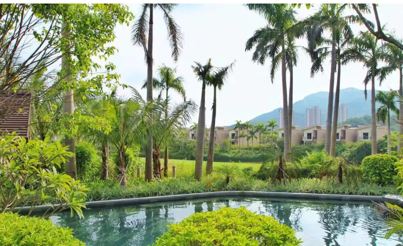 1763689730685_29cAMczZ 1763689730685_29cAMczZ