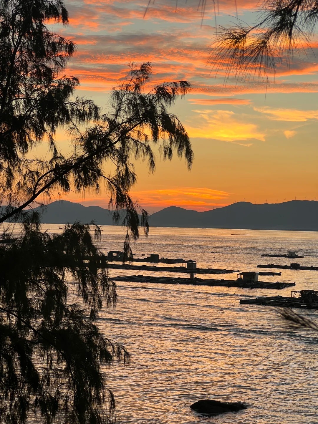 1763689730691_106GdbQe 1763689730691_106GdbQe