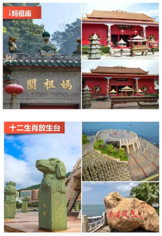 1763689730691_8B7DrQR 1763689730691_8B7DrQR