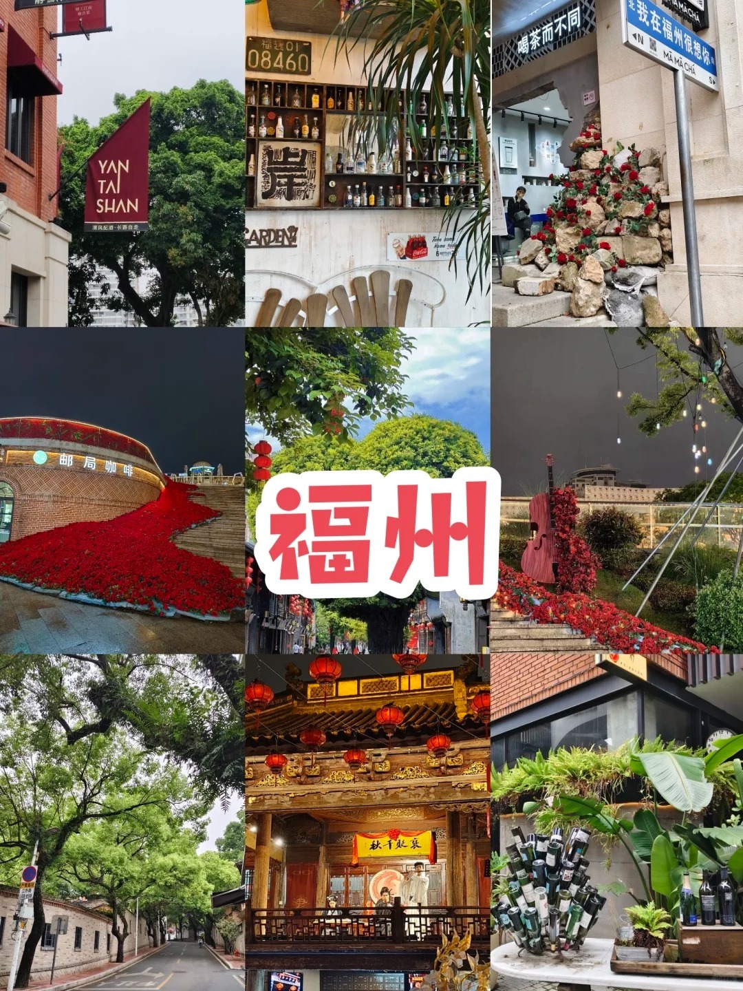 1765336269708_29kGc4ap