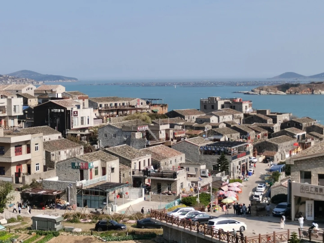 1765336269710_24ayfeY6