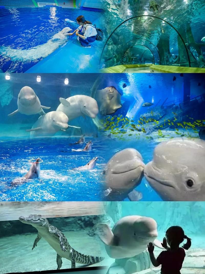 1765336269714_8F3ePC6