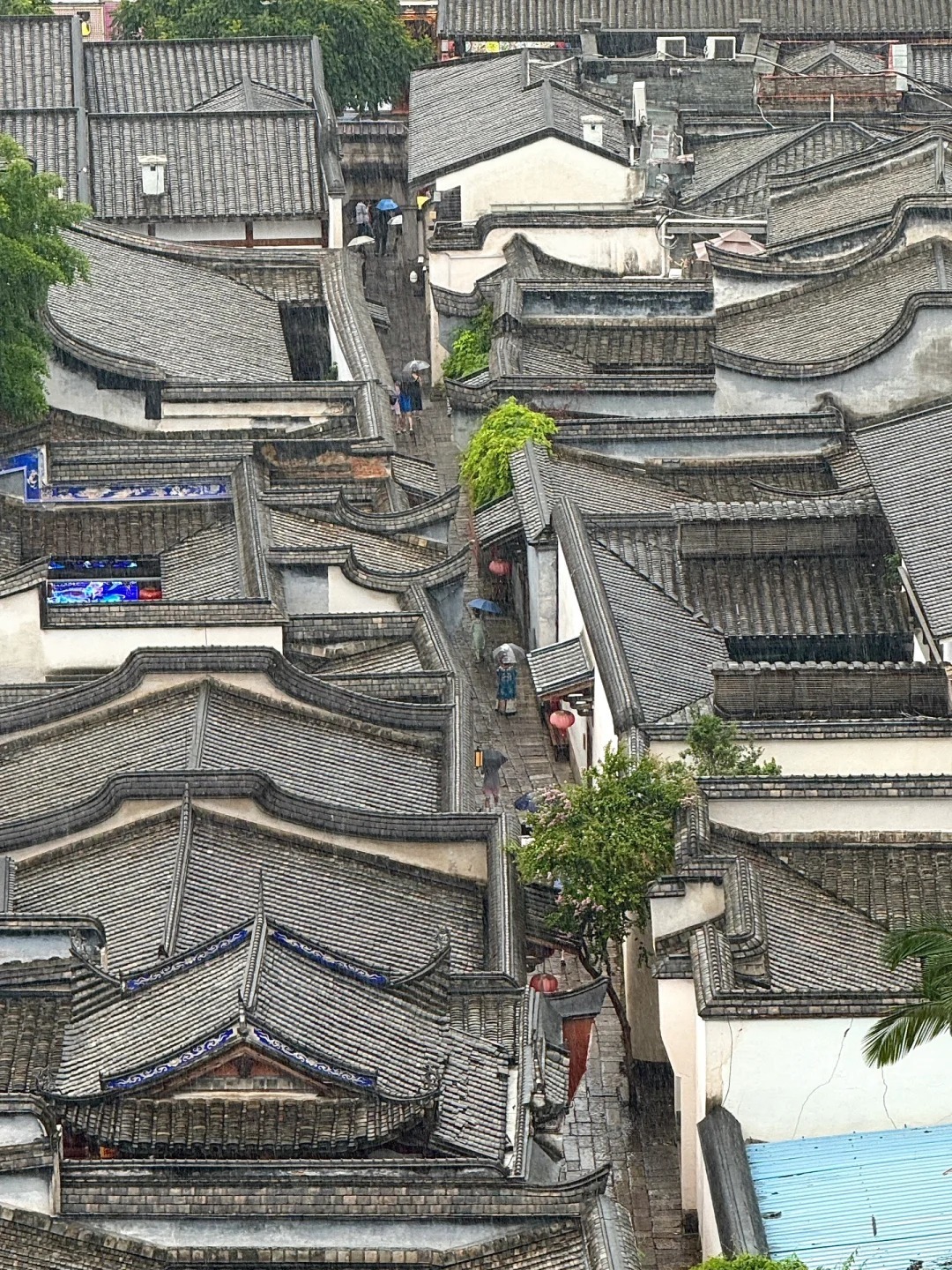 1765353338292_40ETnzCN