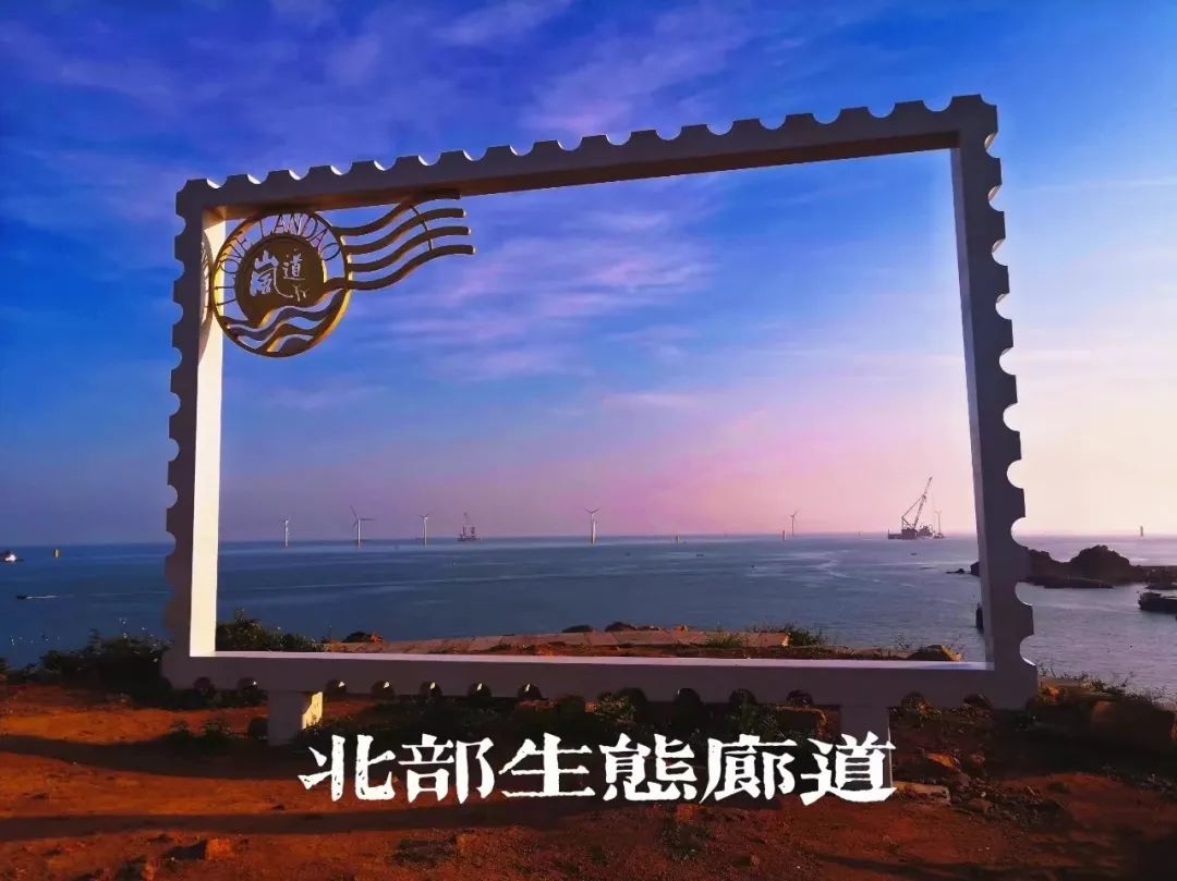 1765353338298_24nxSXX8