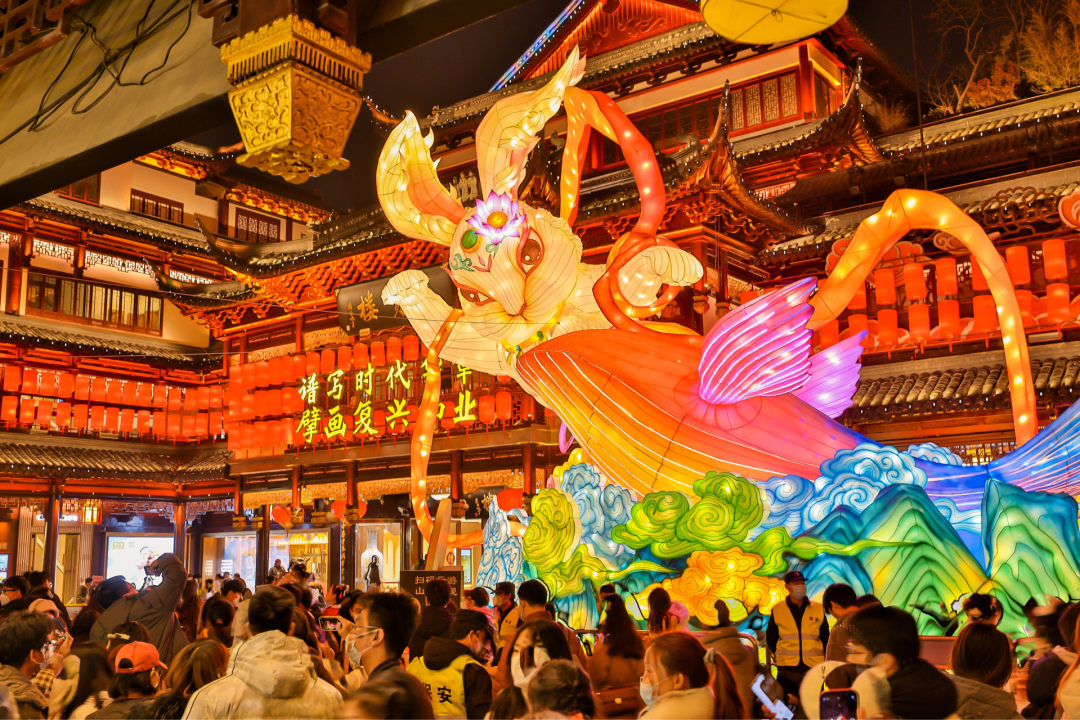 1765353820453_31XMc3Pw