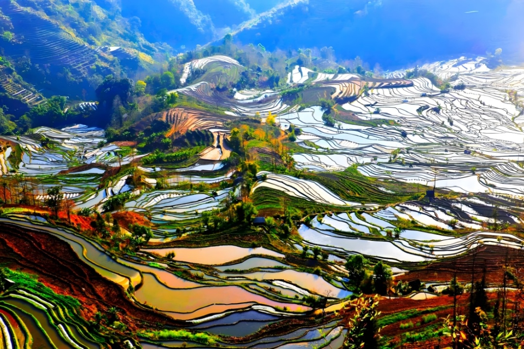 1765767592253_24hkarRr