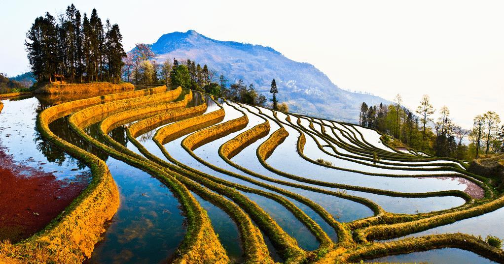 1765767592257_17CJ3FJR