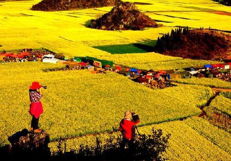 1765767592258_14xa5iX4