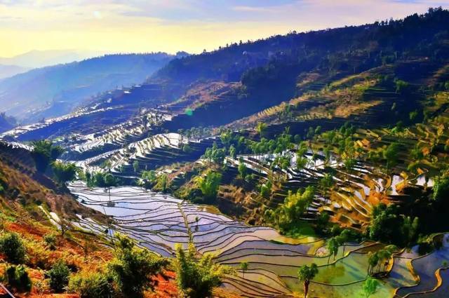 1765767592259_9zMrWw3