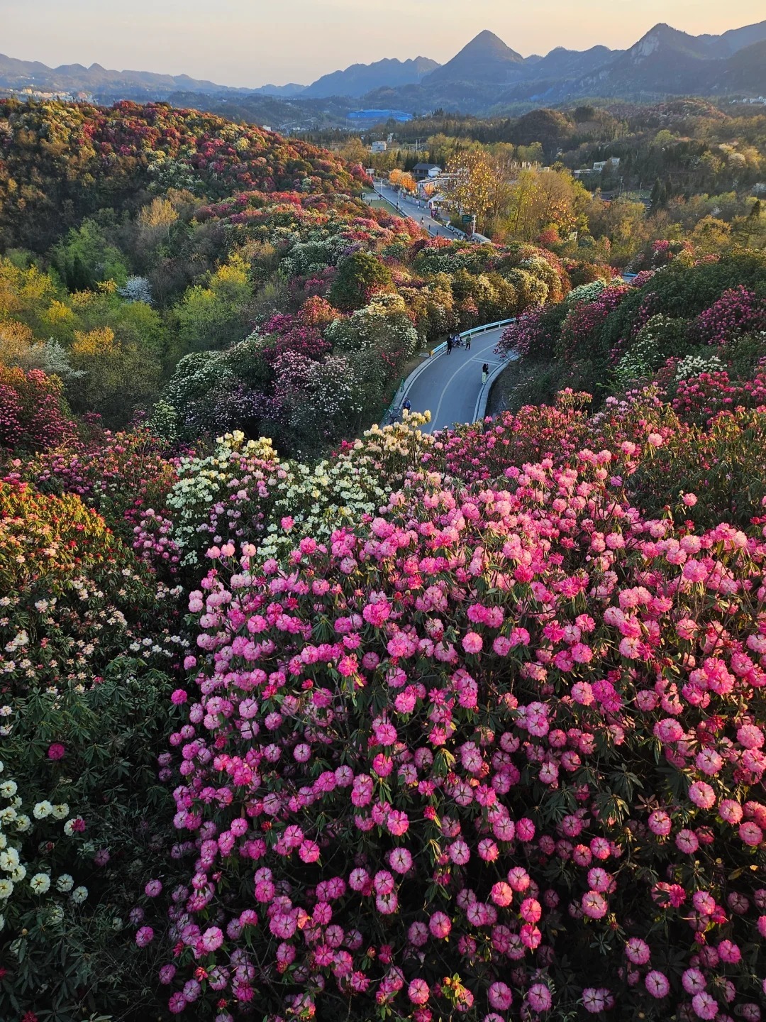 1766728794182_56BKXkFM