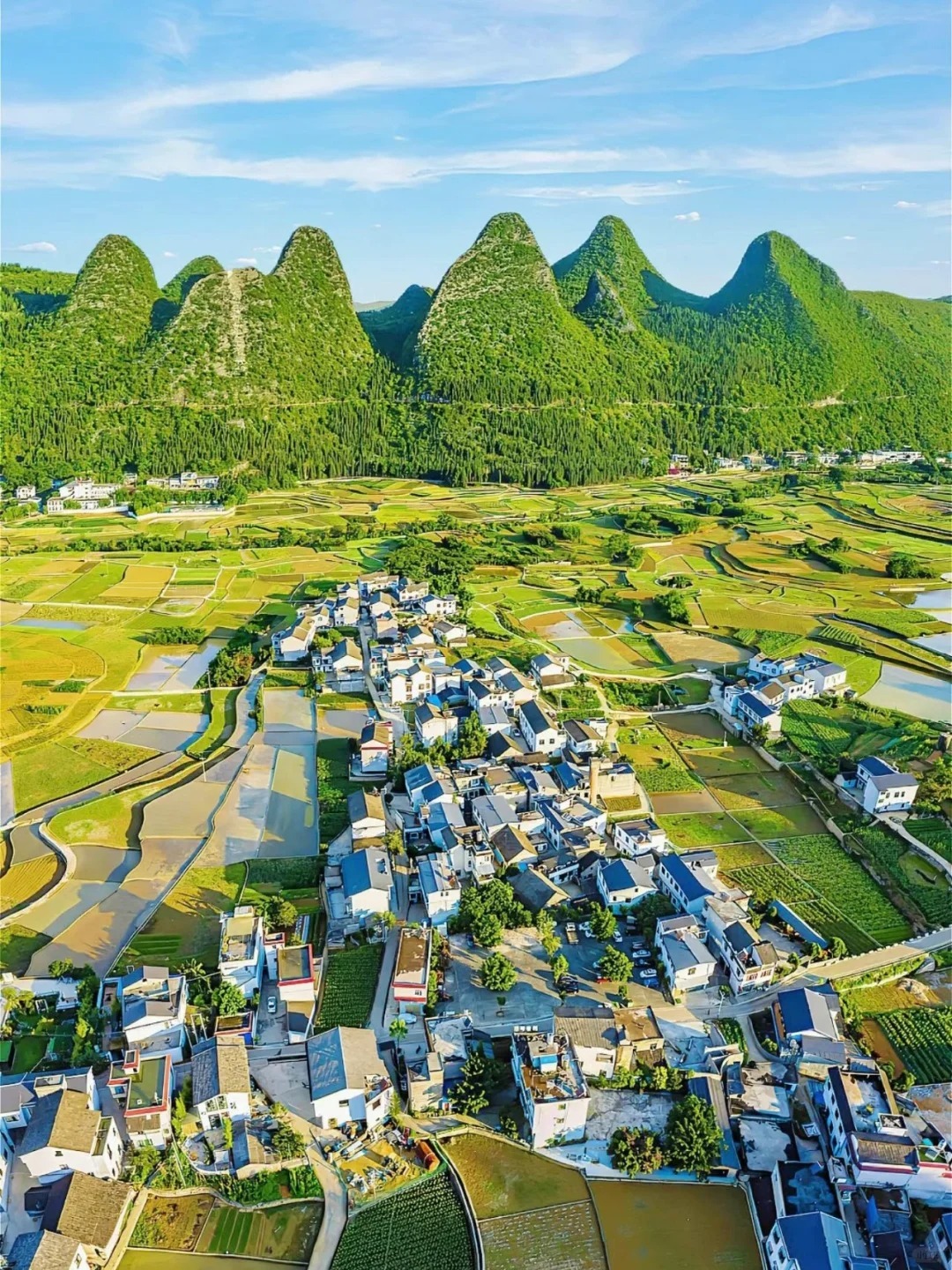 1766728794184_43XEFjF4