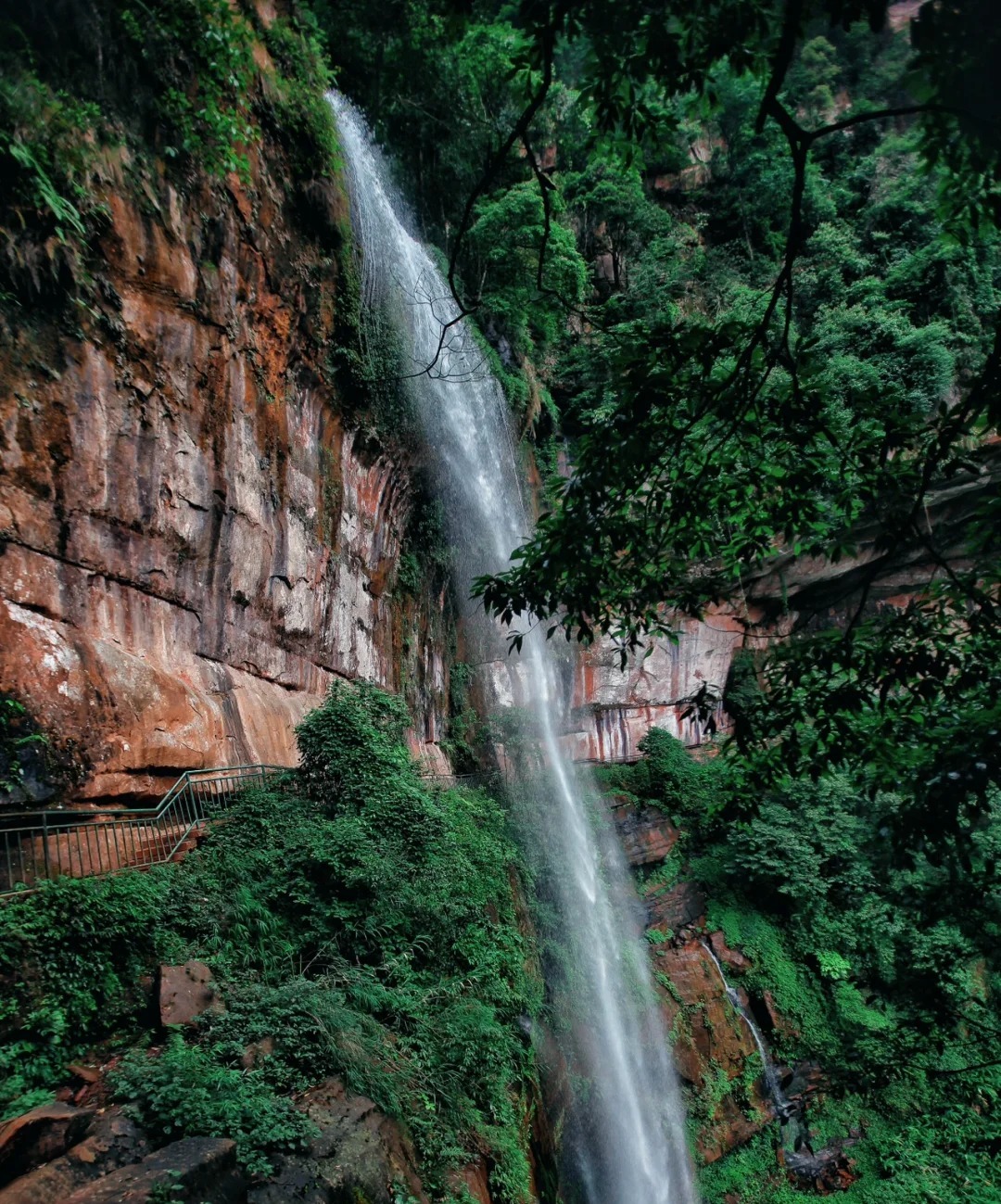 1766728794185_41N8mMyz