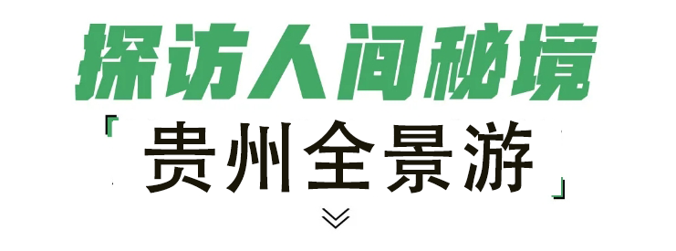 1766728794193_14maR56B