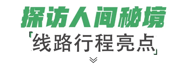 1766728794194_6ebJnms