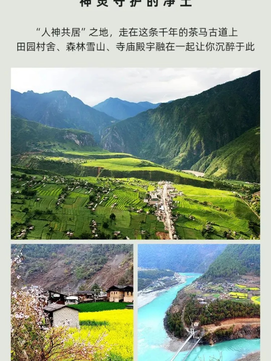 1766975932504_94TTfPjK