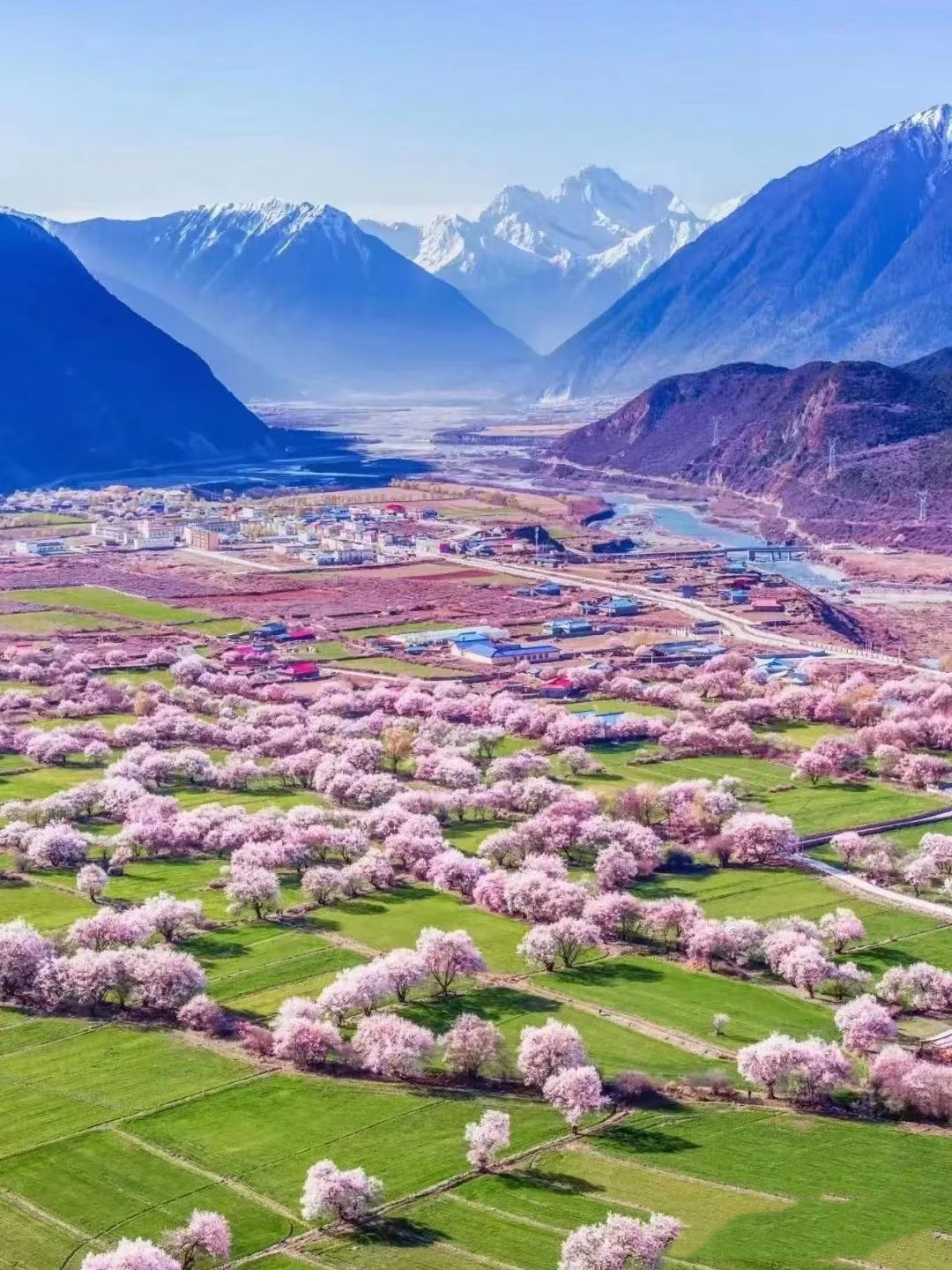 1766975932504_964dF7RT