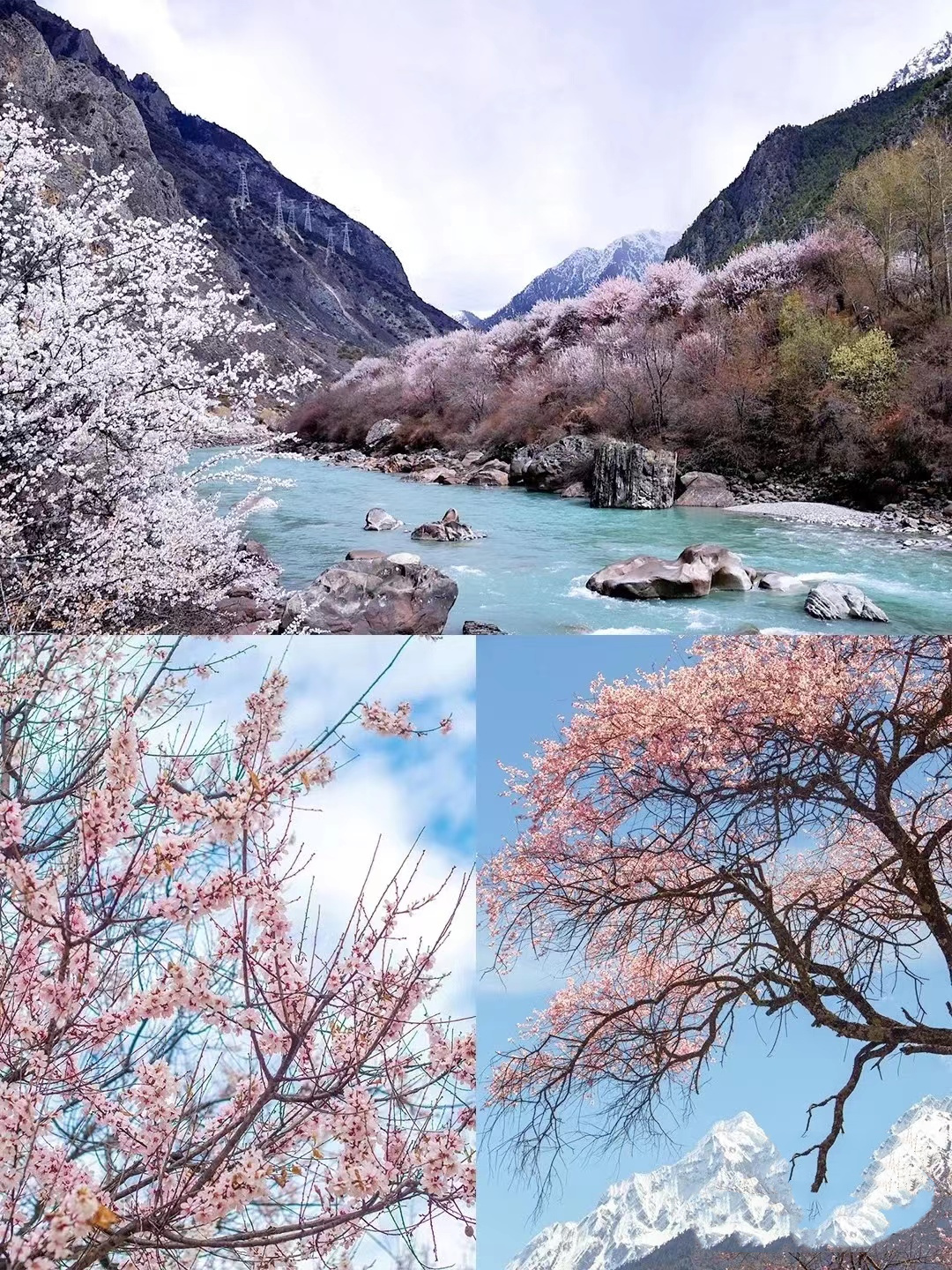 1766975932507_80ab5KKk