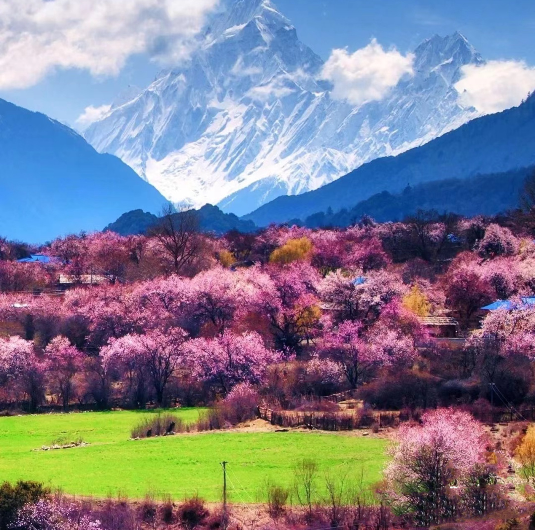 1766975932508_76AYNzwJ