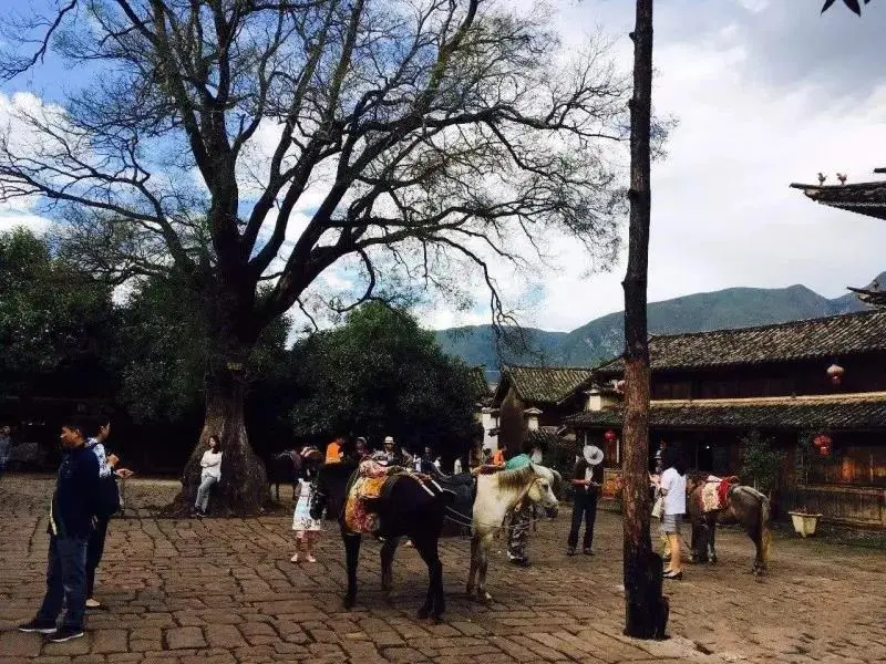 1766975932509_73CQ2bzh