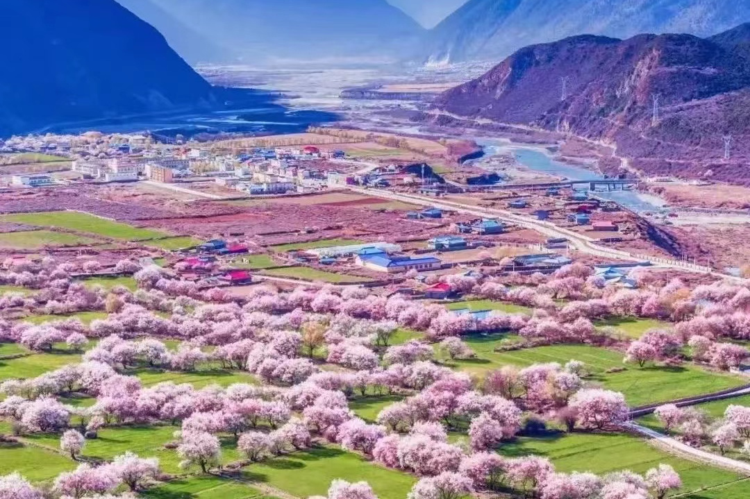 1766975932516_49F5wkcC