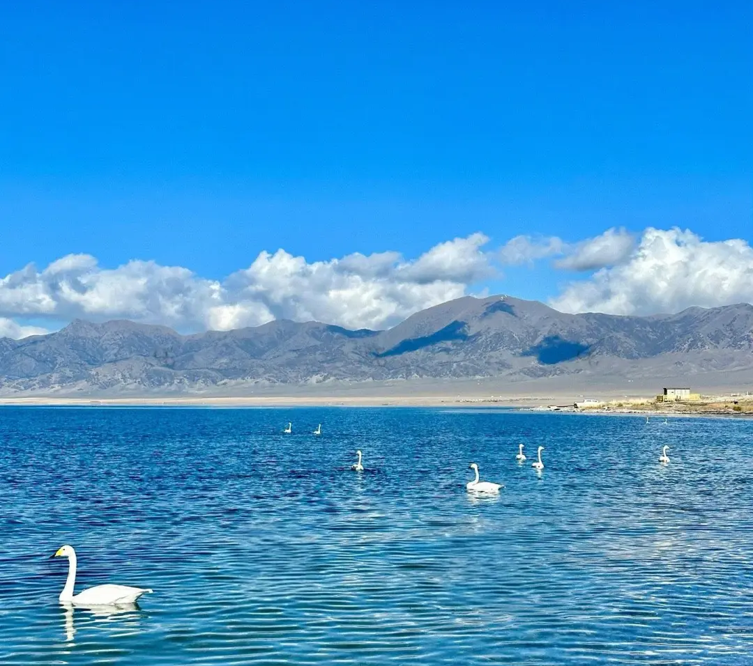 1767060351271_63JeJTkz