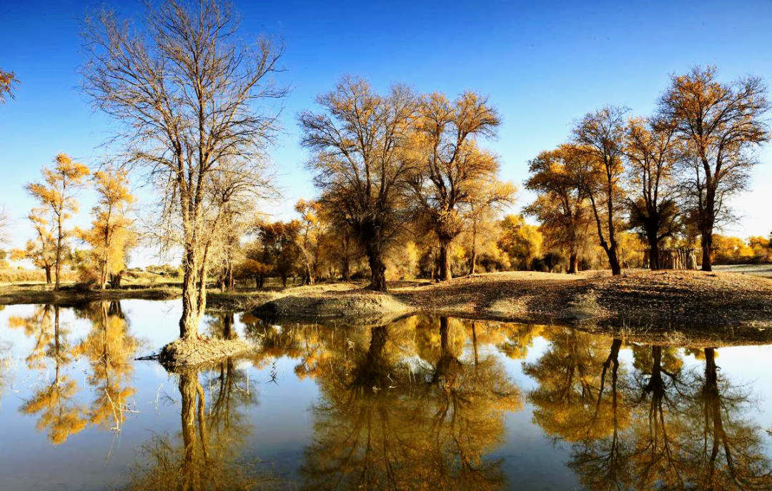 1767060351277_56Kkfib7