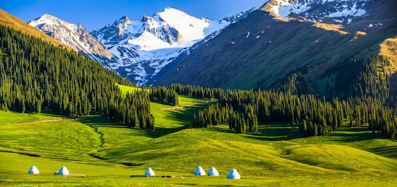 1767060351278_505ATMmG