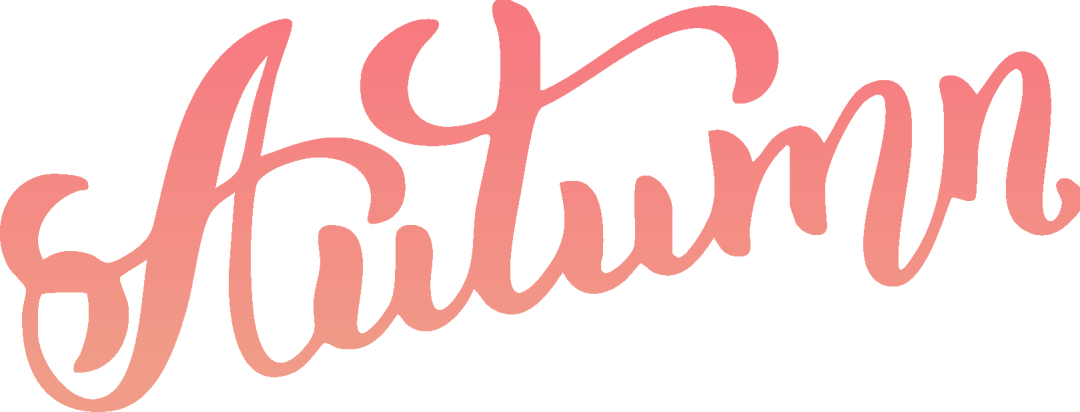 1767060351279_49QA5yP4