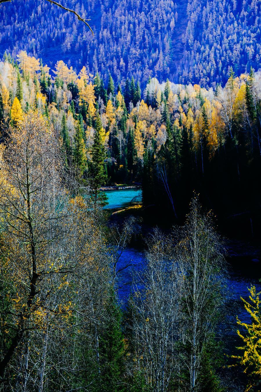 1767060351280_40aj5cBp