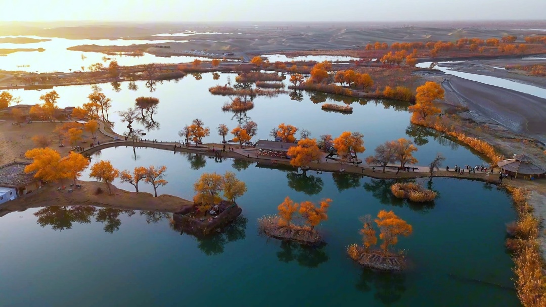 1767060351280_42hHaZHs