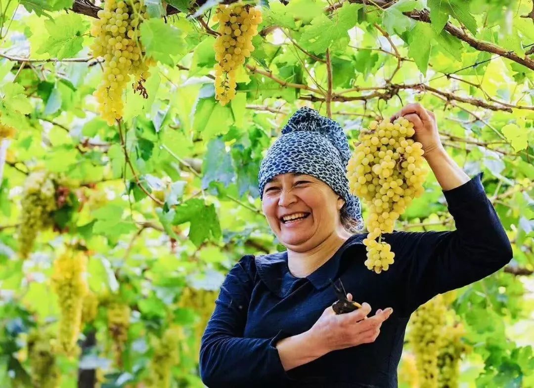 1767060351285_35t4HaTz