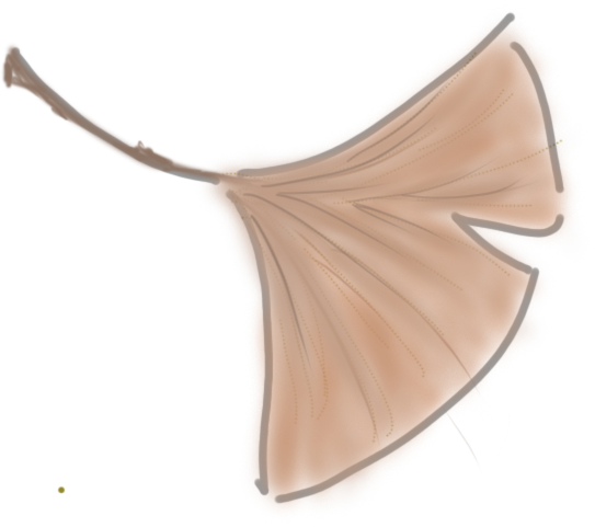 1767060351286_30mbWZ45