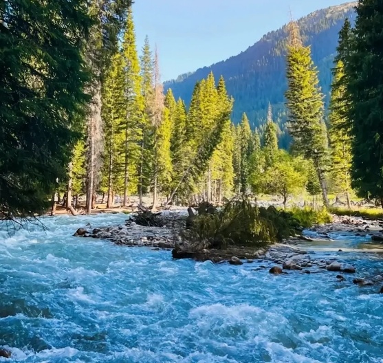 1767060351290_7Tx4B7e