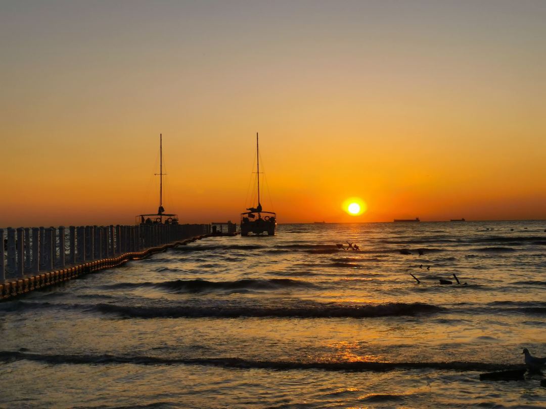 1767754117200_66sQDQex