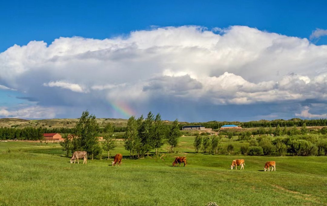 1767754117204_516dRzsn