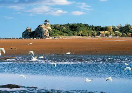 1767754117211_24ihaXPz