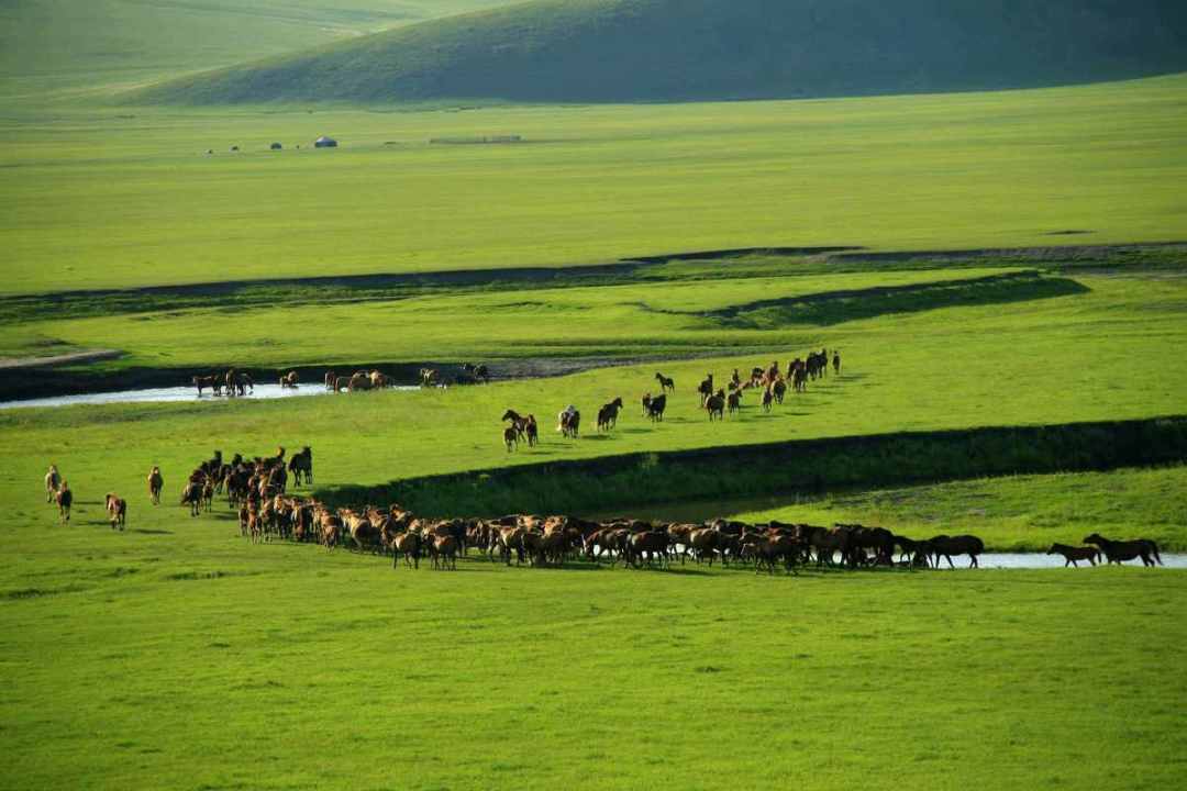 1767754117211_25jSreet